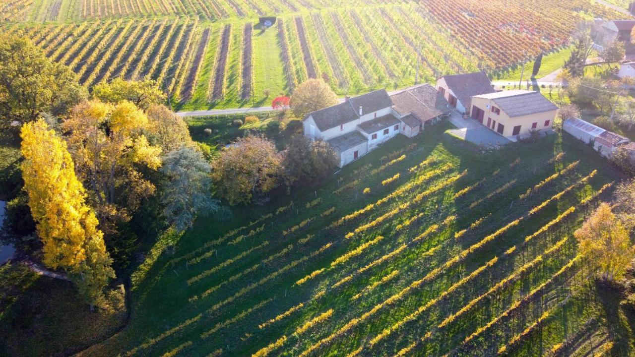 Villa Les Vignes Pomport Exterior foto