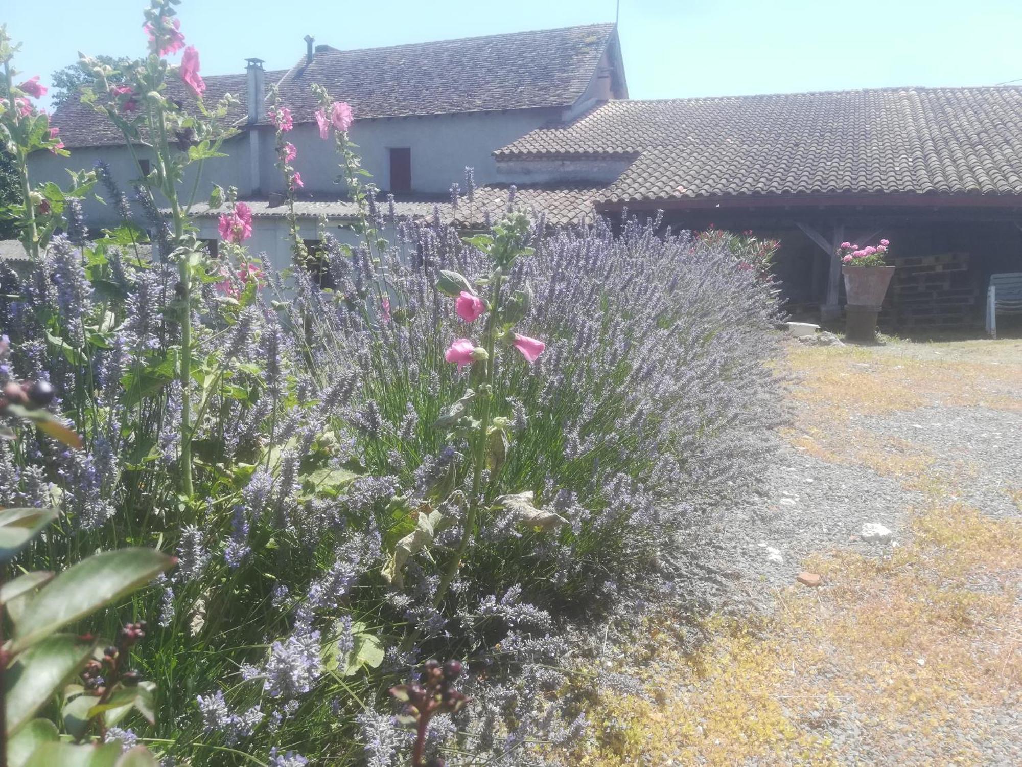 Villa Les Vignes Pomport Exterior foto